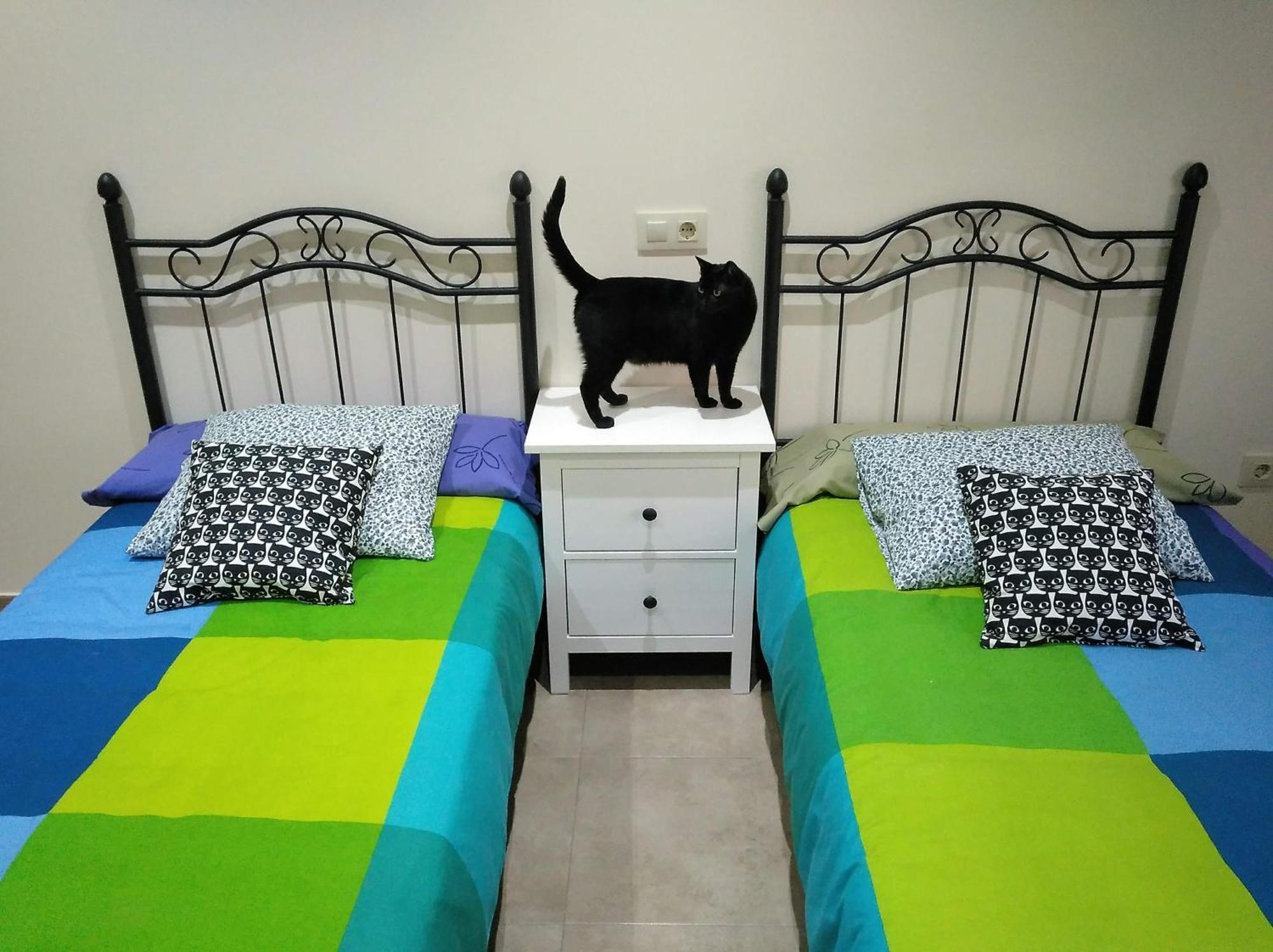 Casa Rural El Gato Negro Trefacio Εξωτερικό φωτογραφία