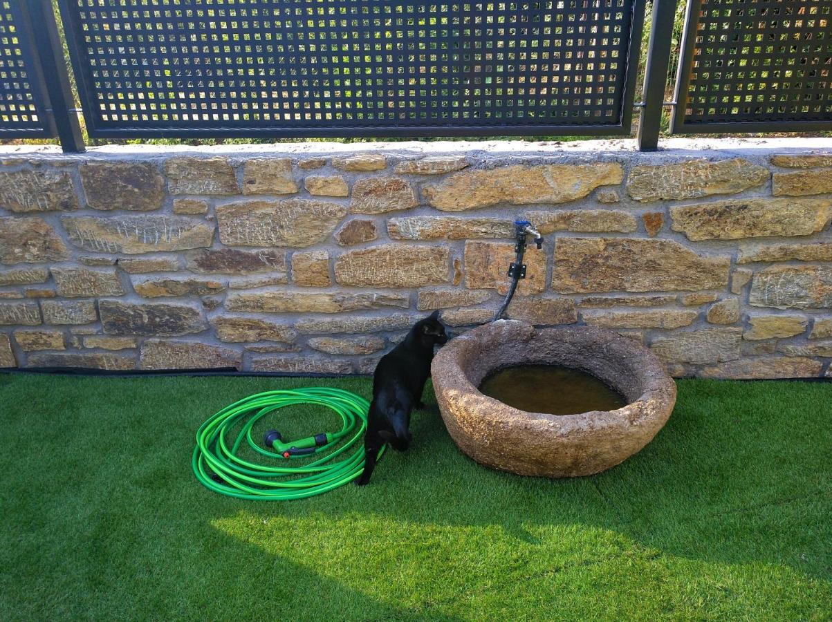 Casa Rural El Gato Negro Trefacio Εξωτερικό φωτογραφία