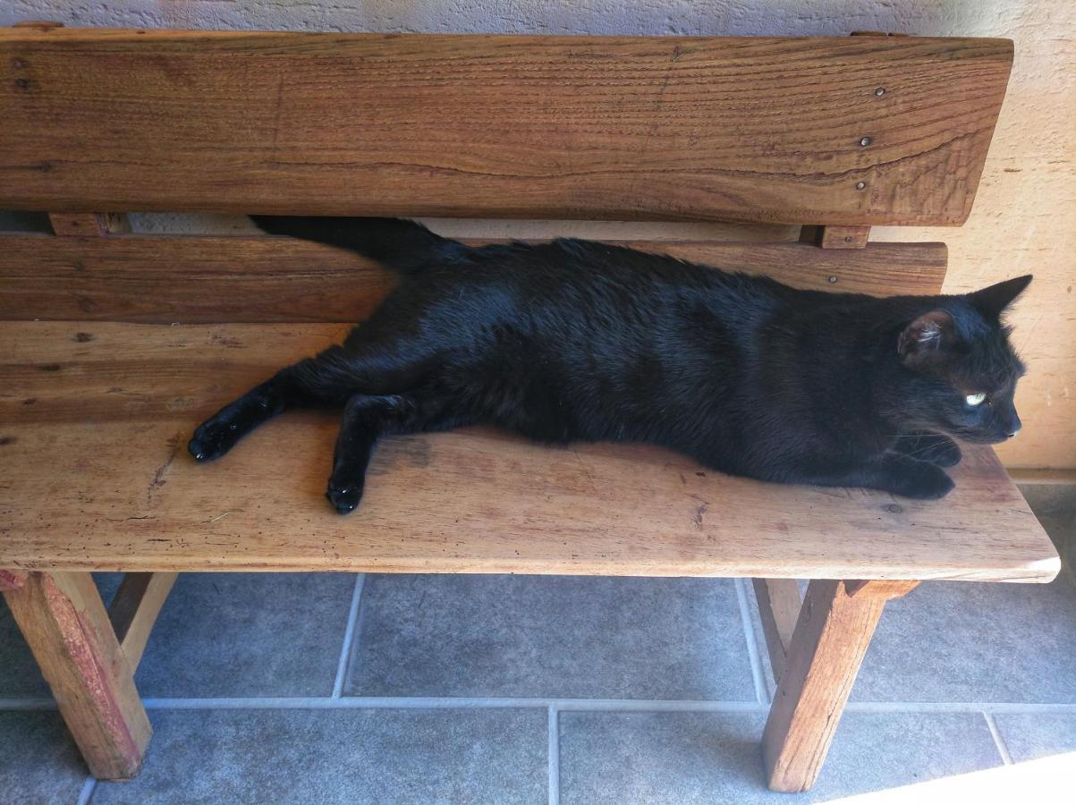 Casa Rural El Gato Negro Trefacio Εξωτερικό φωτογραφία